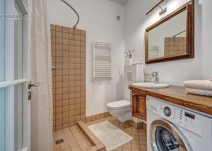 Old Town Saviciaus Street Vilnius