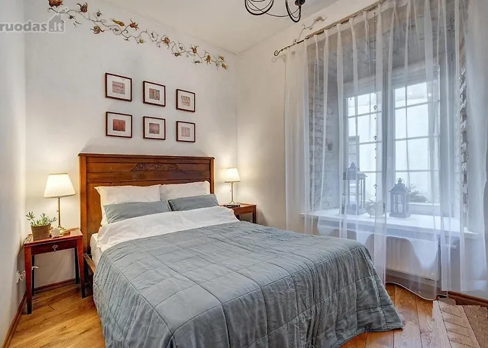 Old Town Saviciaus Street Appartement